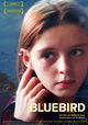 Bluebird