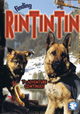 Het grote Rin Tin Tin avontuur