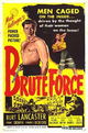 Brute Force