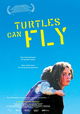 Turtles Can Fly
