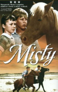 Misty