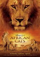 African Cats