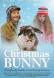 The Christmas Bunny