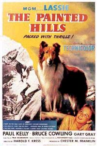The Painted Hills (1951)