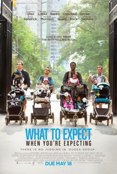 What to Expect When You're Expecting (2012)