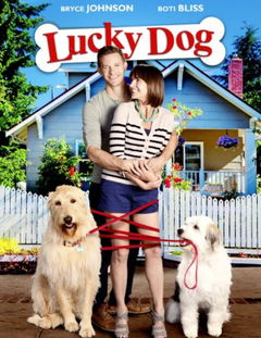Lucky Dog (2014)
