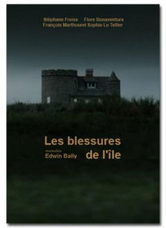 Les Blessures de l'Île (2015)