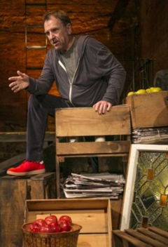 Colin Quinn: The New York Story (2016)