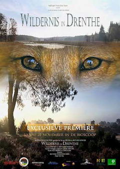 Wildernis in Drenthe (2016)