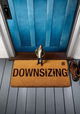 Downsizing