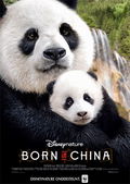 Born in China