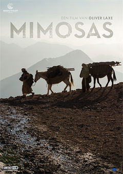 Mimosas (2016)