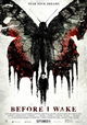 Before I Wake