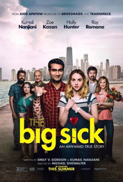 The Big Sick (2017)