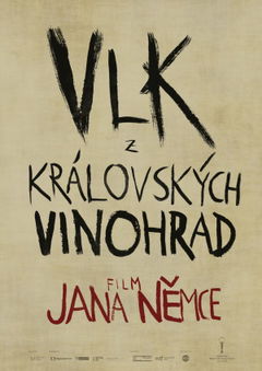 Vlk Z Královských Vinohrad (2016)