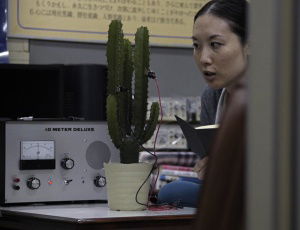 Conversation with a Cactus