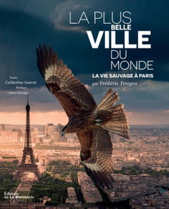 La Plus Belle Ville du Monde (2017)