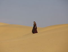The Song of Scorpions (2017)