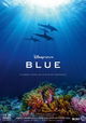 Dolphin Reef