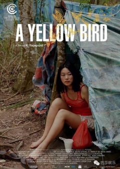 A Yellow Bird (2016)