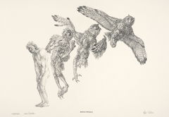 Vogelparadijs – Peter Vos, tekenaar (2017)