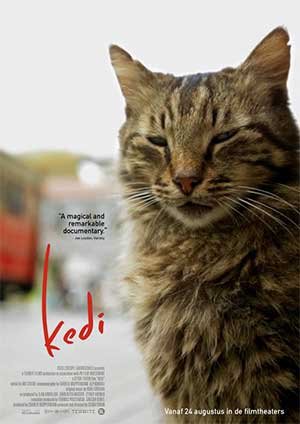 Kedi (2016)