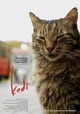 Kedi