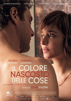 Il colore nascosto delle cose (2017)