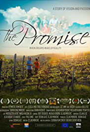 The Promise (2016)