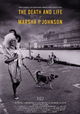 The Death and Life of Marsha P. Johnson