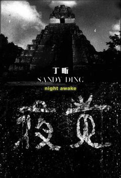 Night Awake (2016)
