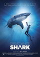 Great White Shark