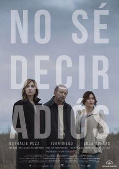 No Sé Decir Adiós (2017)