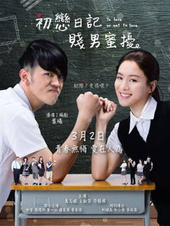 To Love or Not to Love (2017)