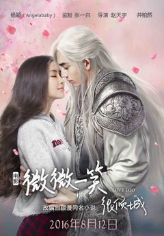 Wei Wei Yi Xiao Hen Qing Cheng (2016)