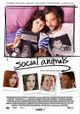 Social Animals