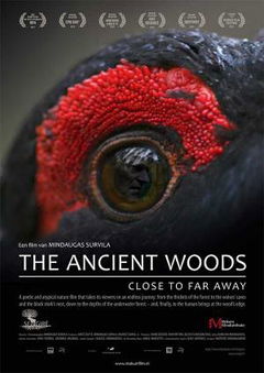 The Ancient Woods (2017)