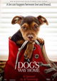 A Dog's Way Home