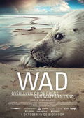 Wad, overleven op de grens van water en land