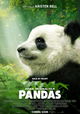 Pandas, A New Story