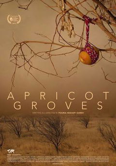 Apricot Groves (2016)