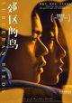 Jiao Qu De Niao