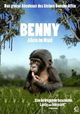Bonobos