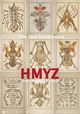 Hmyz