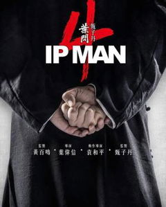 Ip Man 4 (2019)