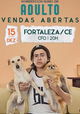 Whindersson Nunes: Adulto