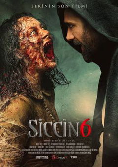Siccin 6 (2019)