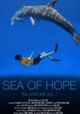 Sea of Hope: America's Underwater Treasures