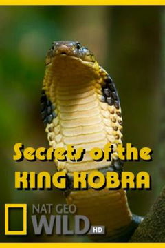 Kingdom of the Cobra (2010)