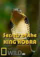 Kingdom of the Cobra